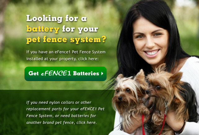 pet friendly electric fence